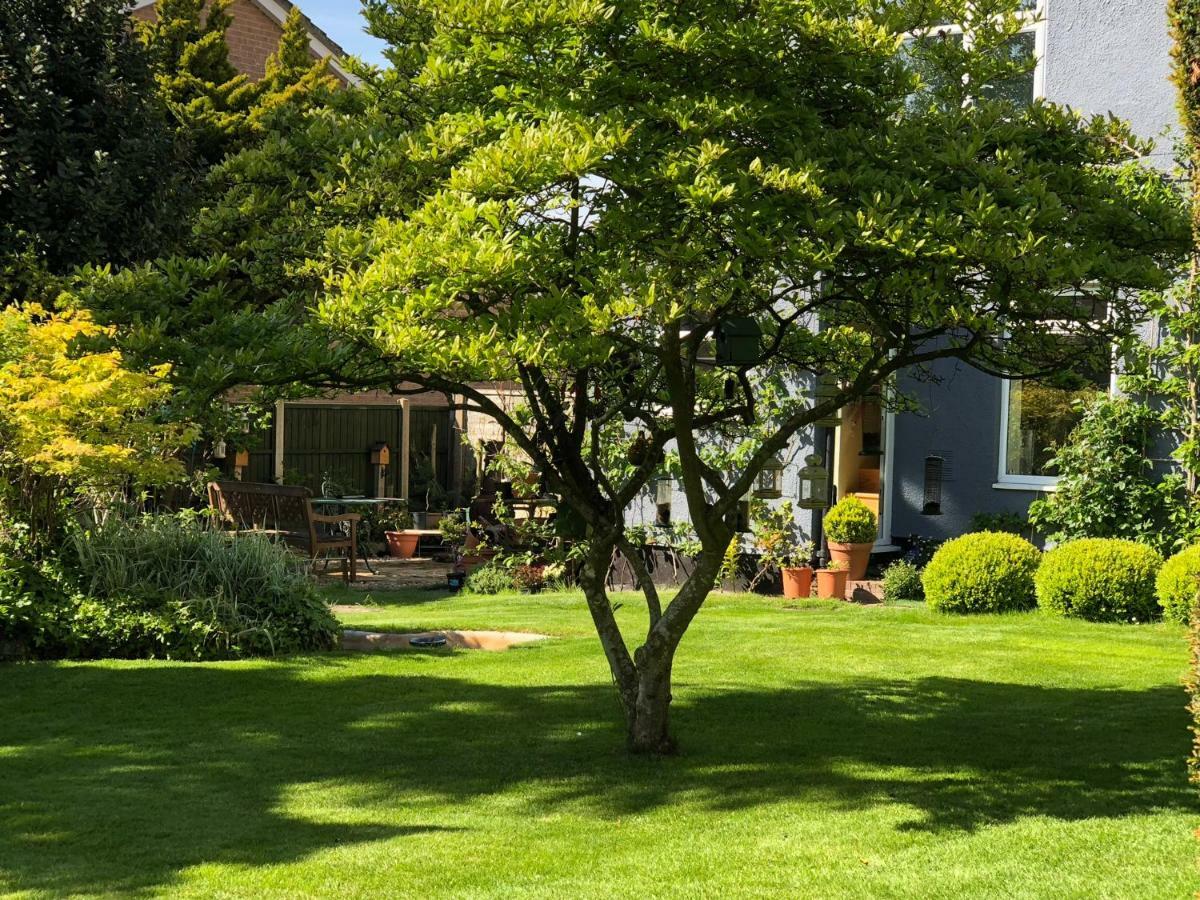The Elms Guest House Bristol Filton Eksteriør billede